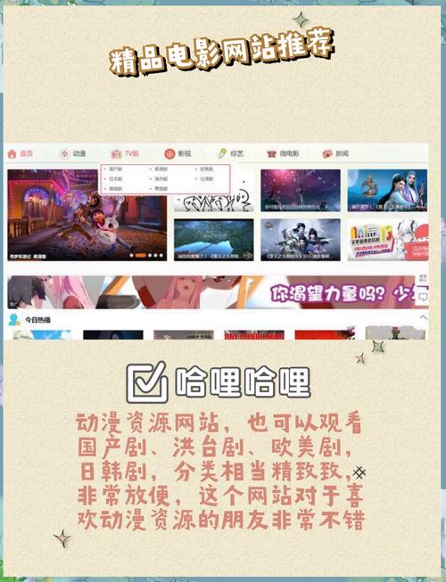 66影视网网站简介