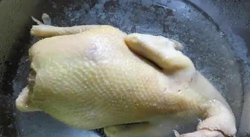 白切鸡不加调料却鲜美无比，三提三浸藏绝技，你会做吗？
