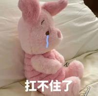 小布说天气 | 抛个硬币，如果粘在天花板上就不吃宵夜了~