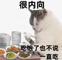 小布说天气 | 抛个硬币，如果粘在天花板上就不吃宵夜了~