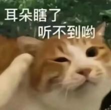 小布说天气 | 抛个硬币，如果粘在天花板上就不吃宵夜了~
