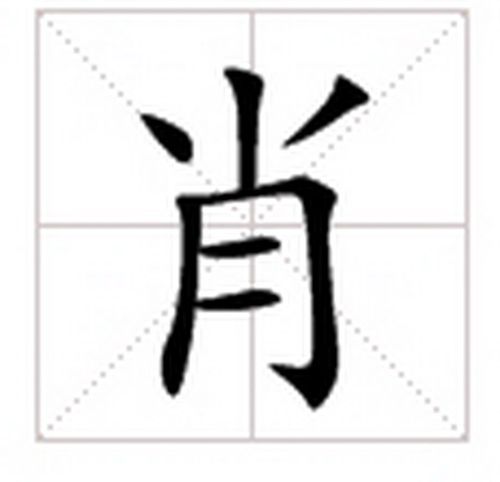 肖字的拼音,意思,字典释义