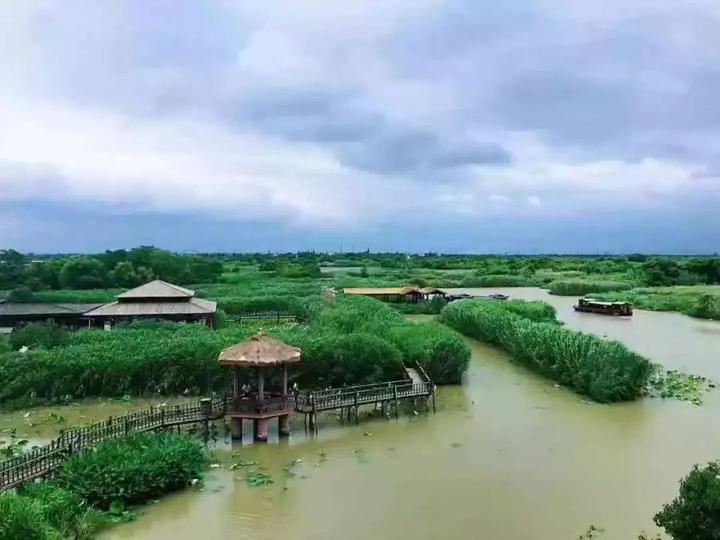 莫干山风景区、下渚湖国家湿地公园......德清人去这些景区免门票！
