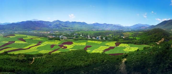 莫干山风景区、下渚湖国家湿地公园......德清人去这些景区免门票！
