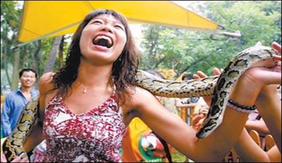 成年人生活压力有多大？网友在线支招：智能家居或许能给条生路！